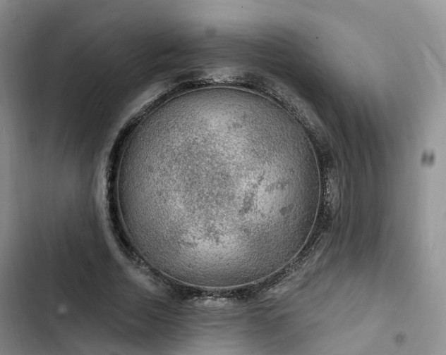 X0000102770730200808251051