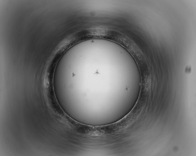 X0000102770731200808251051