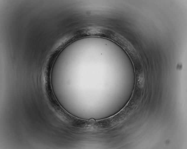 X0000102770732200808251051