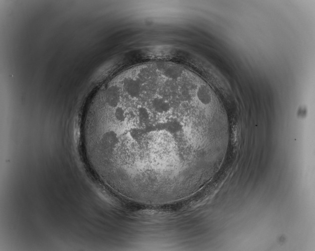 X0000102770733200808251051