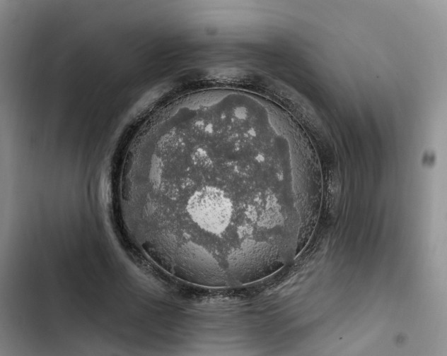 X0000102770734200808251051