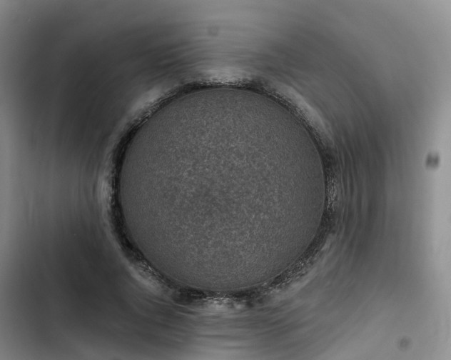 X0000102770736200808251051