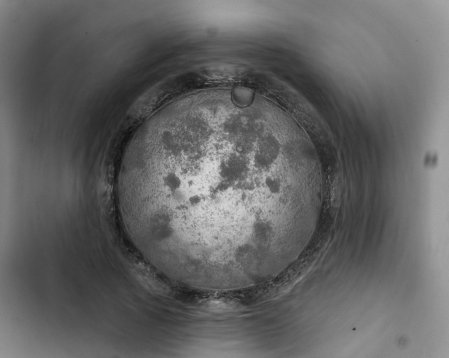 X0000102770737200808251051