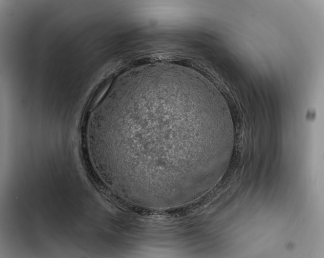 X0000102770738200808251051