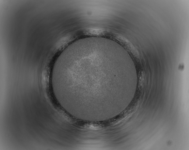 X0000102770739200808251051