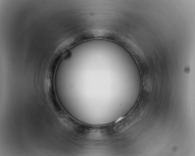 X0000102770740200808251051