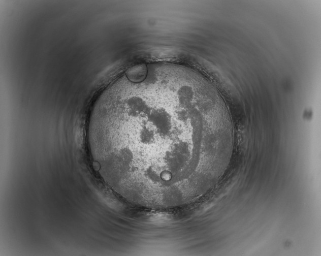 X0000102770741200808251051