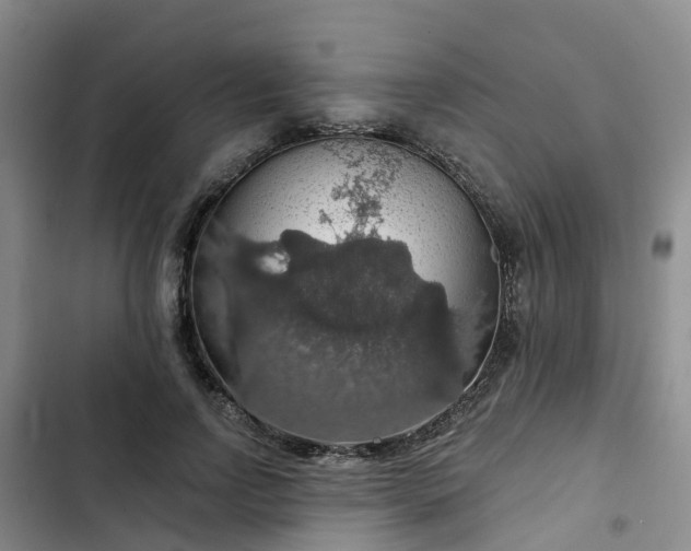 X0000102770742200808251051