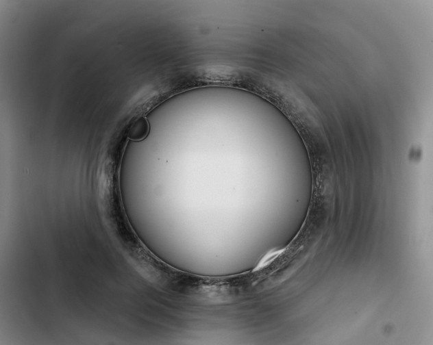 X0000102770744200808251051