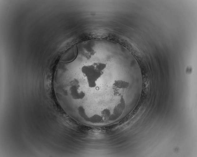 X0000102770745200808251051