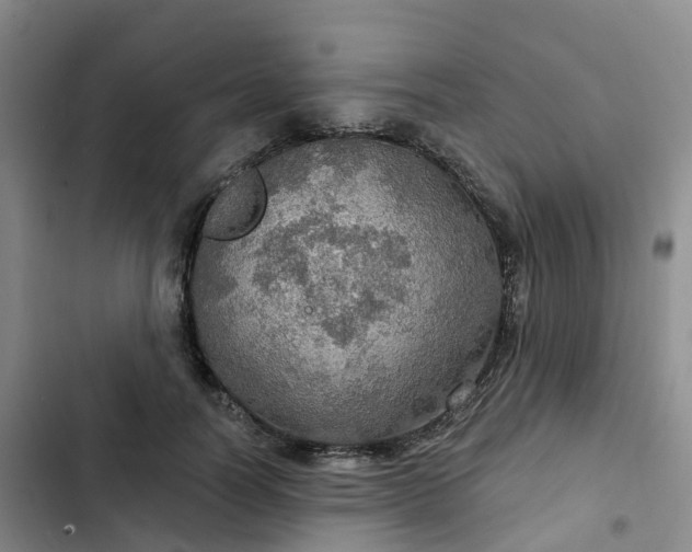 X0000102770746200808251051