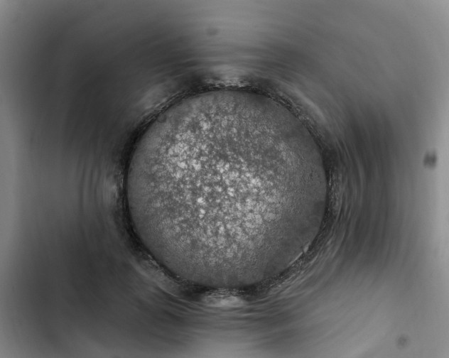 X0000102770747200808251051