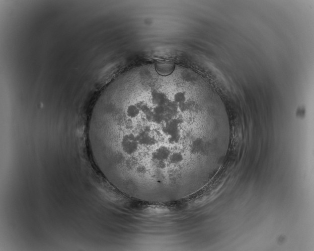 X0000102770749200808251051