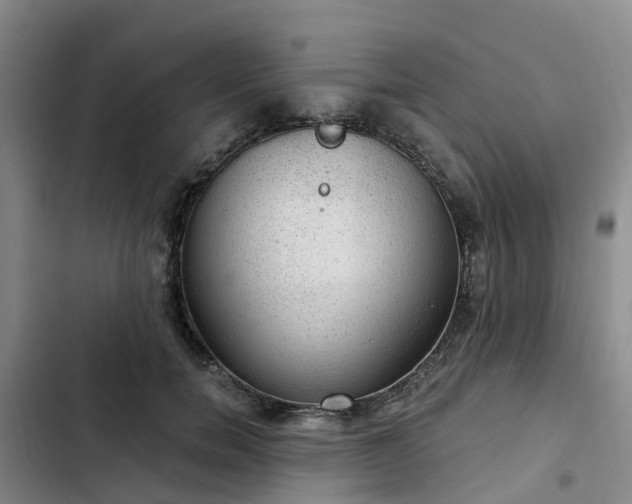 X0000102770750200808251051