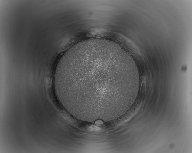 X0000102770751200808251051