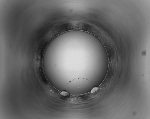 X0000102770752200808251051