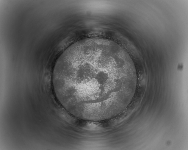 X0000102770753200808251051