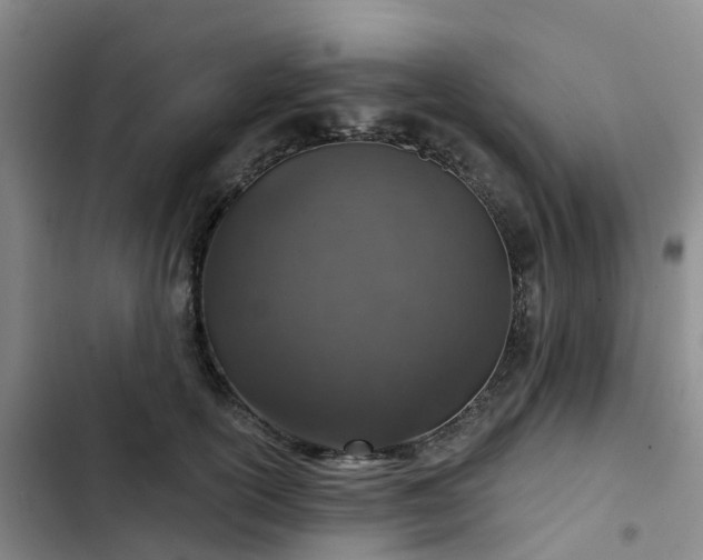 X0000102770754200808251051