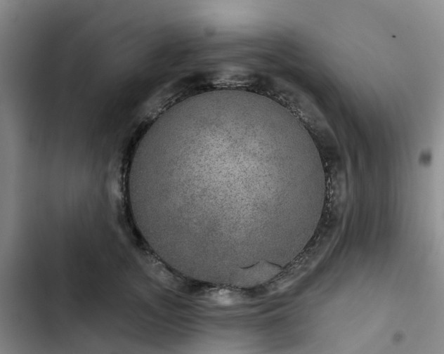 X0000102770755200808251051