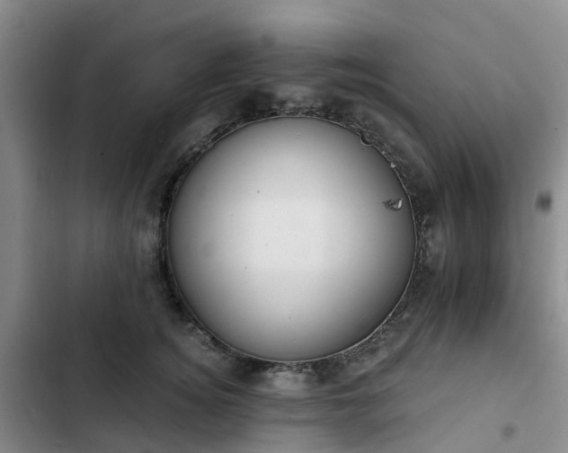 X0000102770756200808251051