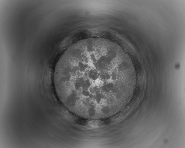 X0000102770757200808251051