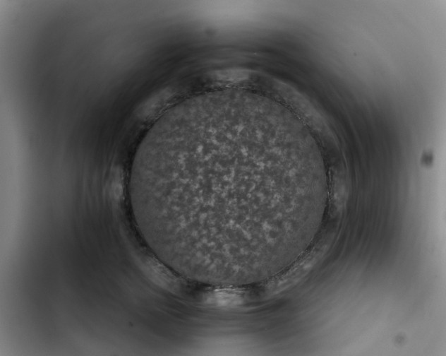 X0000102770758200808251051