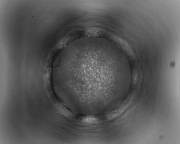 X0000102770759200808251051