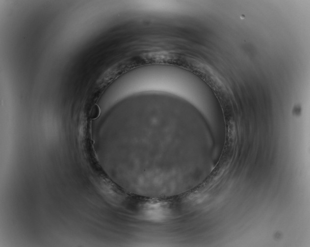 X0000102770760200808251051