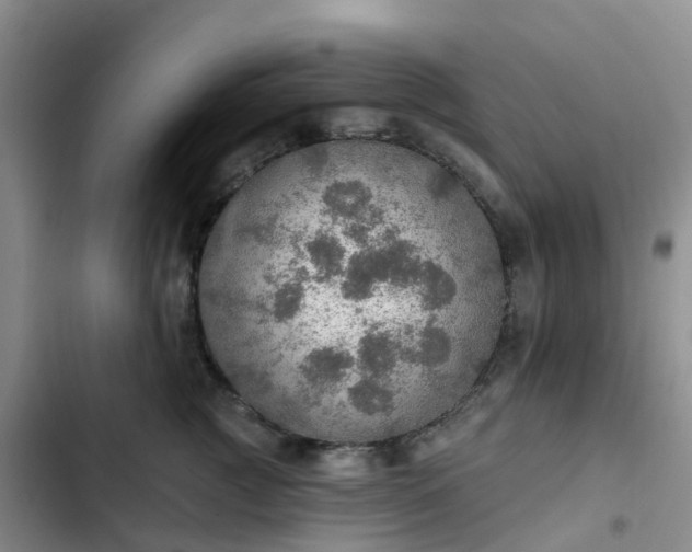 X0000102770761200808251051