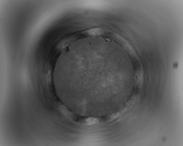 X0000102770762200808251051