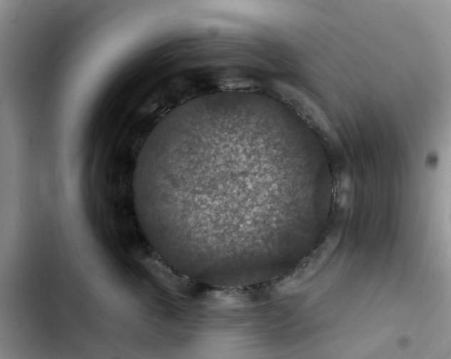 X0000102770763200808251051