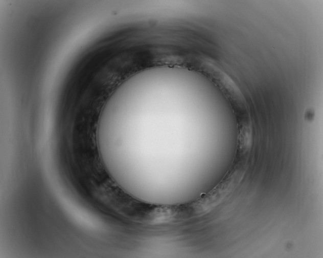 X0000102770764200808251051