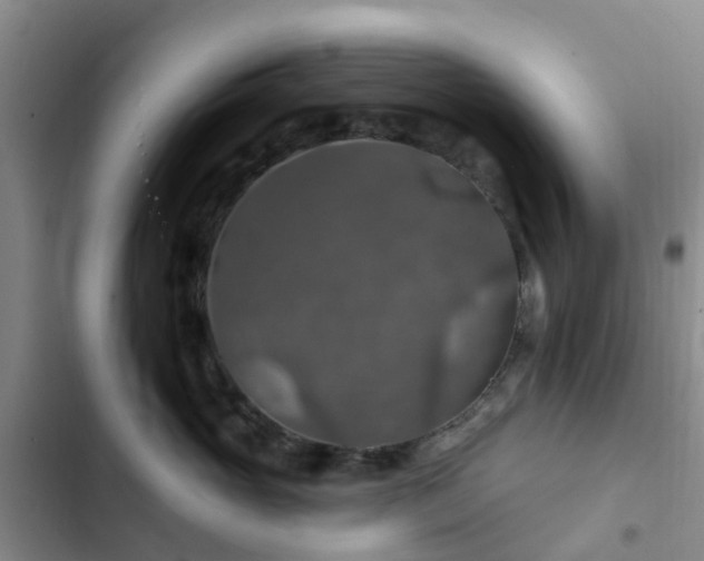 X0000102770765200808251051