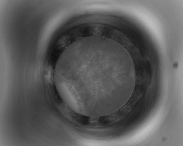 X0000102770766200808251052