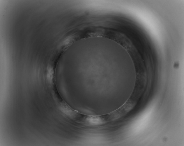 X0000102770767200808251052