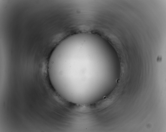 X0000102770768200808251052