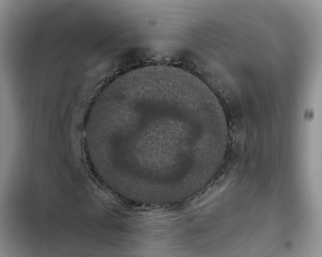 X0000102770769200808251051