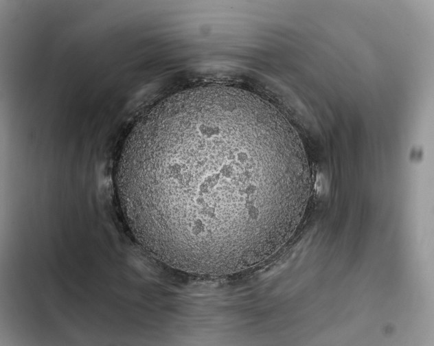 X0000102770771200808251051