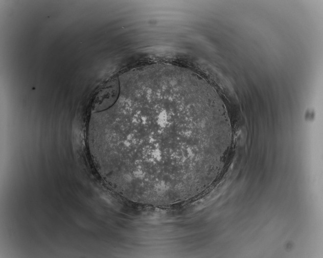 X0000102770772200808251051