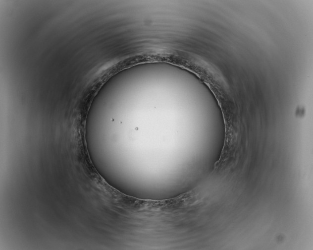 X0000102770773200808251051