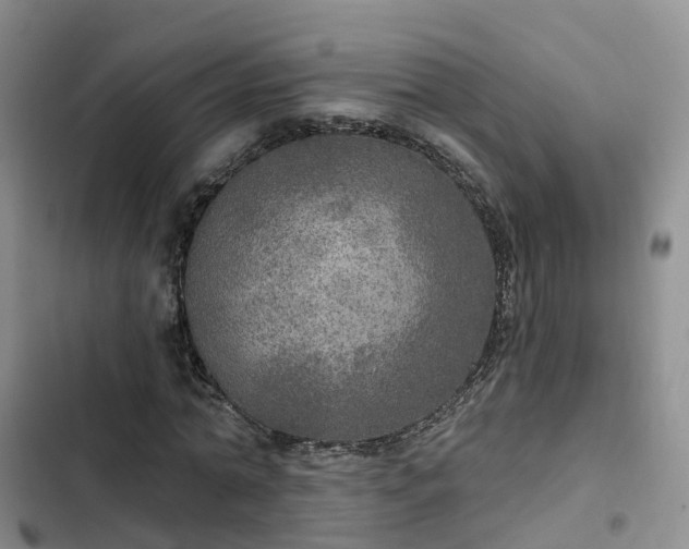 X0000102770774200808251051