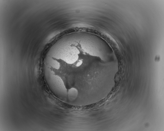 X0000102770775200808251051