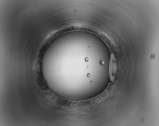 X0000102770776200808251051