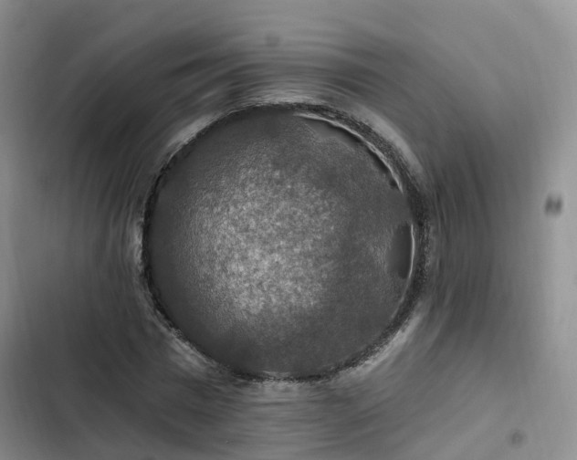 X0000102770777200808251051