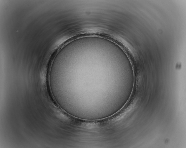 X0000102770778200808251051