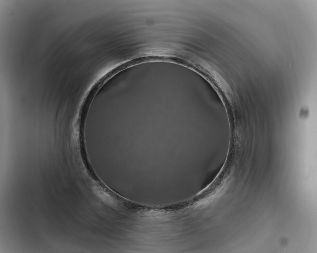 X0000102770779200808251051