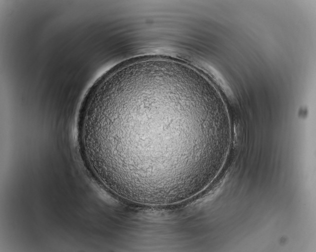 X0000102770780200808251051