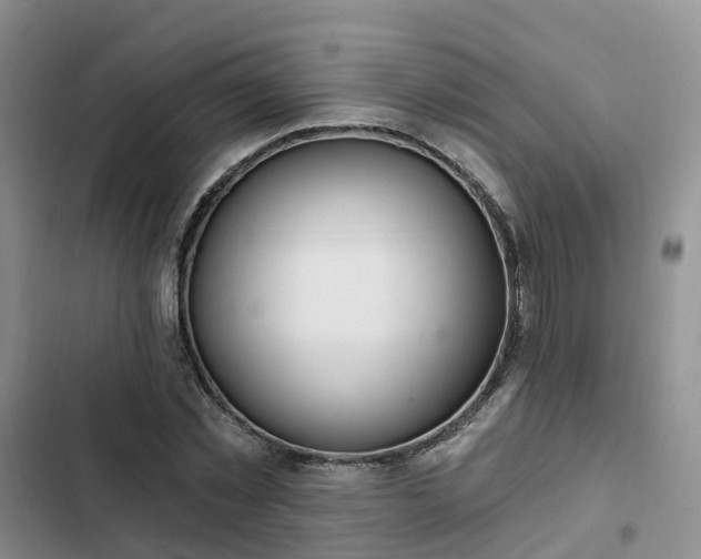 X0000102770781200808251051