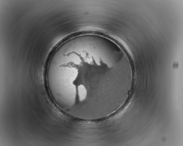 X0000102770783200808251051