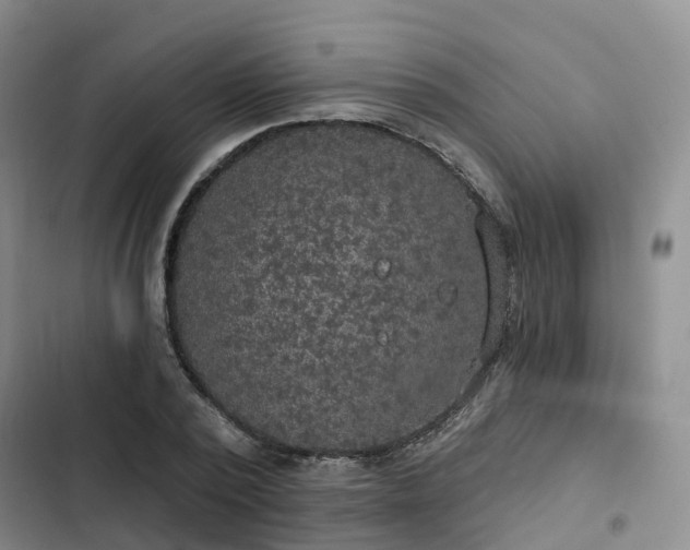 X0000102770784200808251051